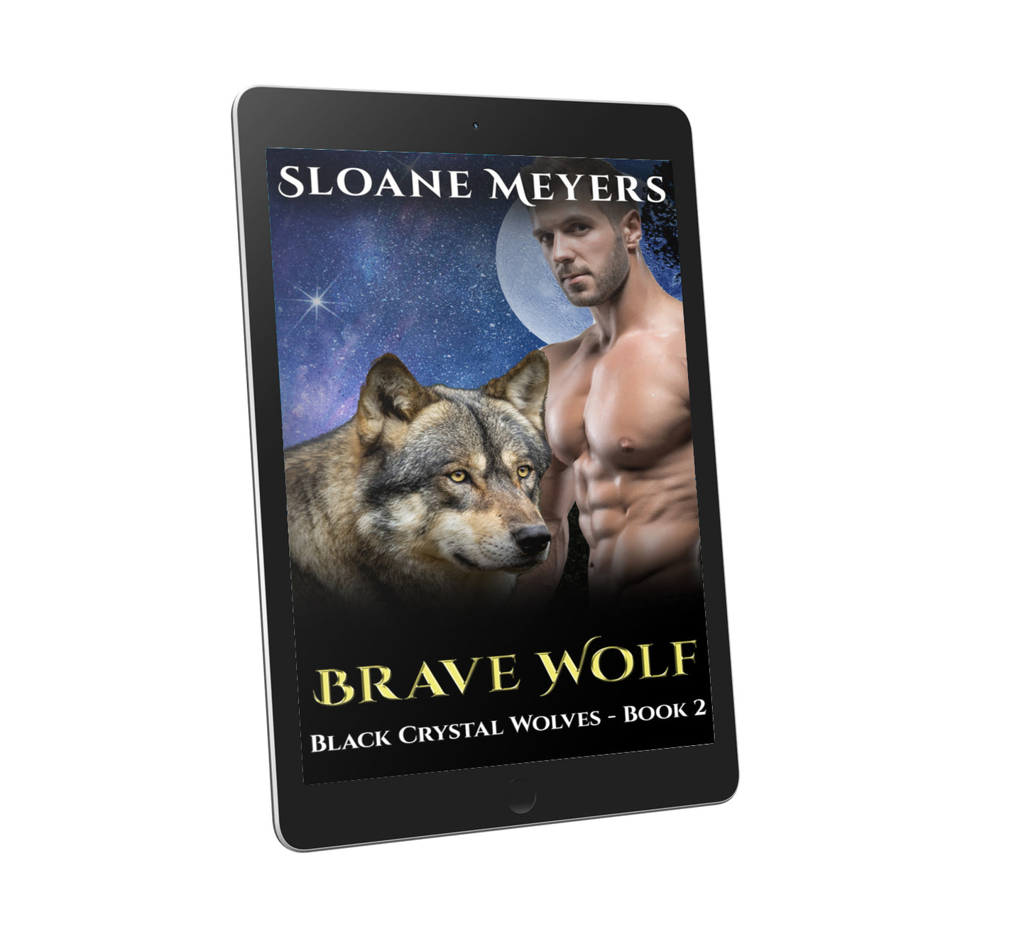 wolf shifter bear shifter romance dragon shifter romance paranormal romance book