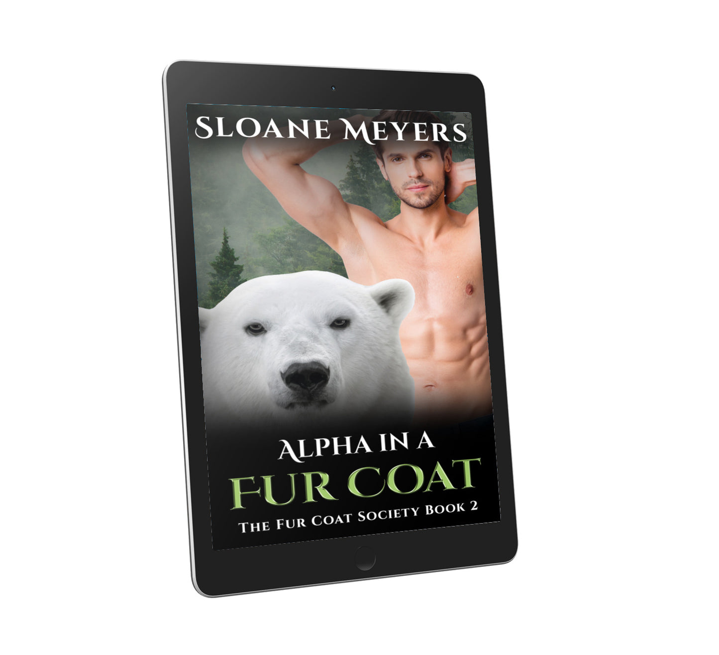 bear shifter romance dragon shifter romance paranormal romance book