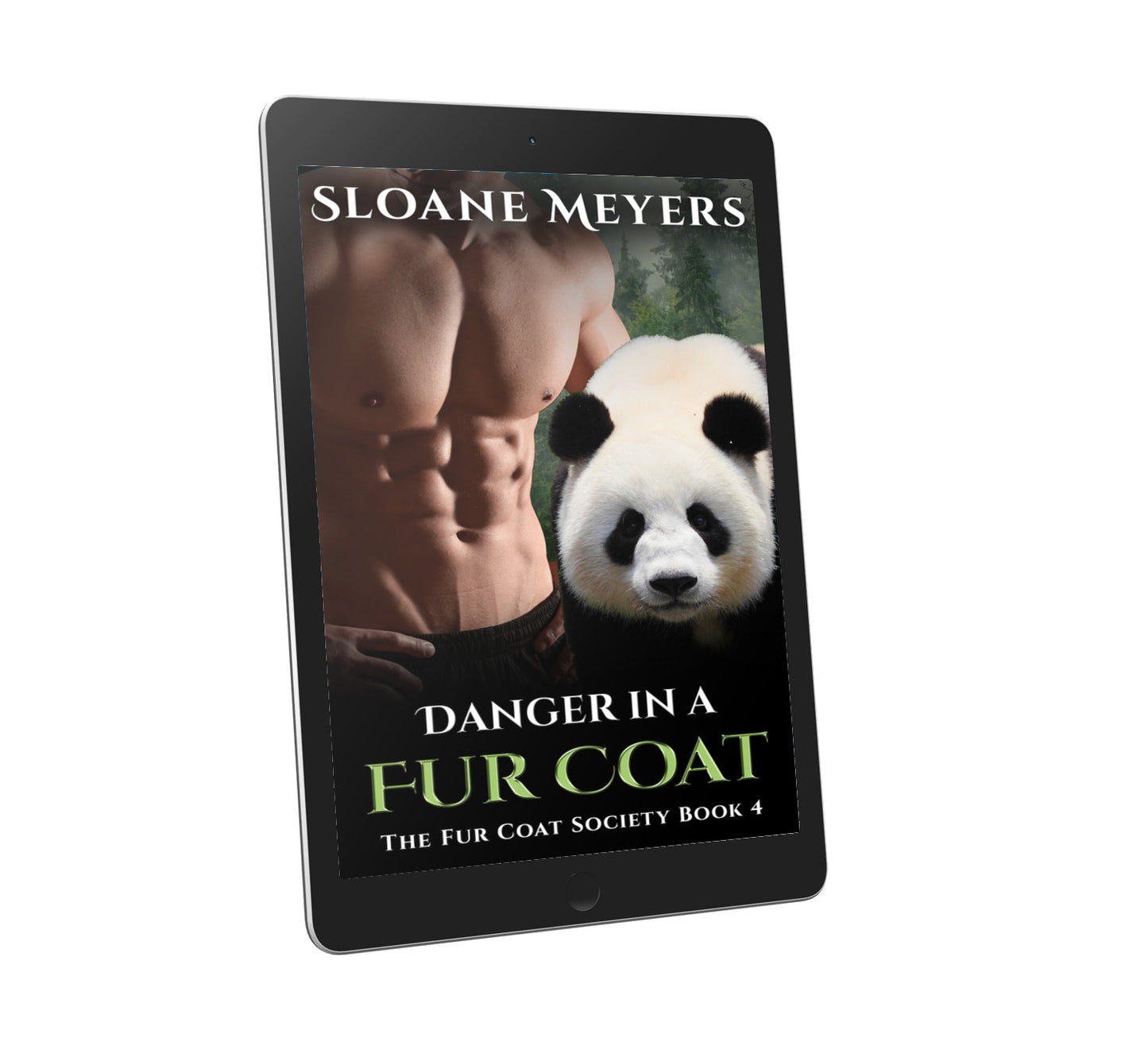 bear shifter romance dragon shifter romance paranormal romance book