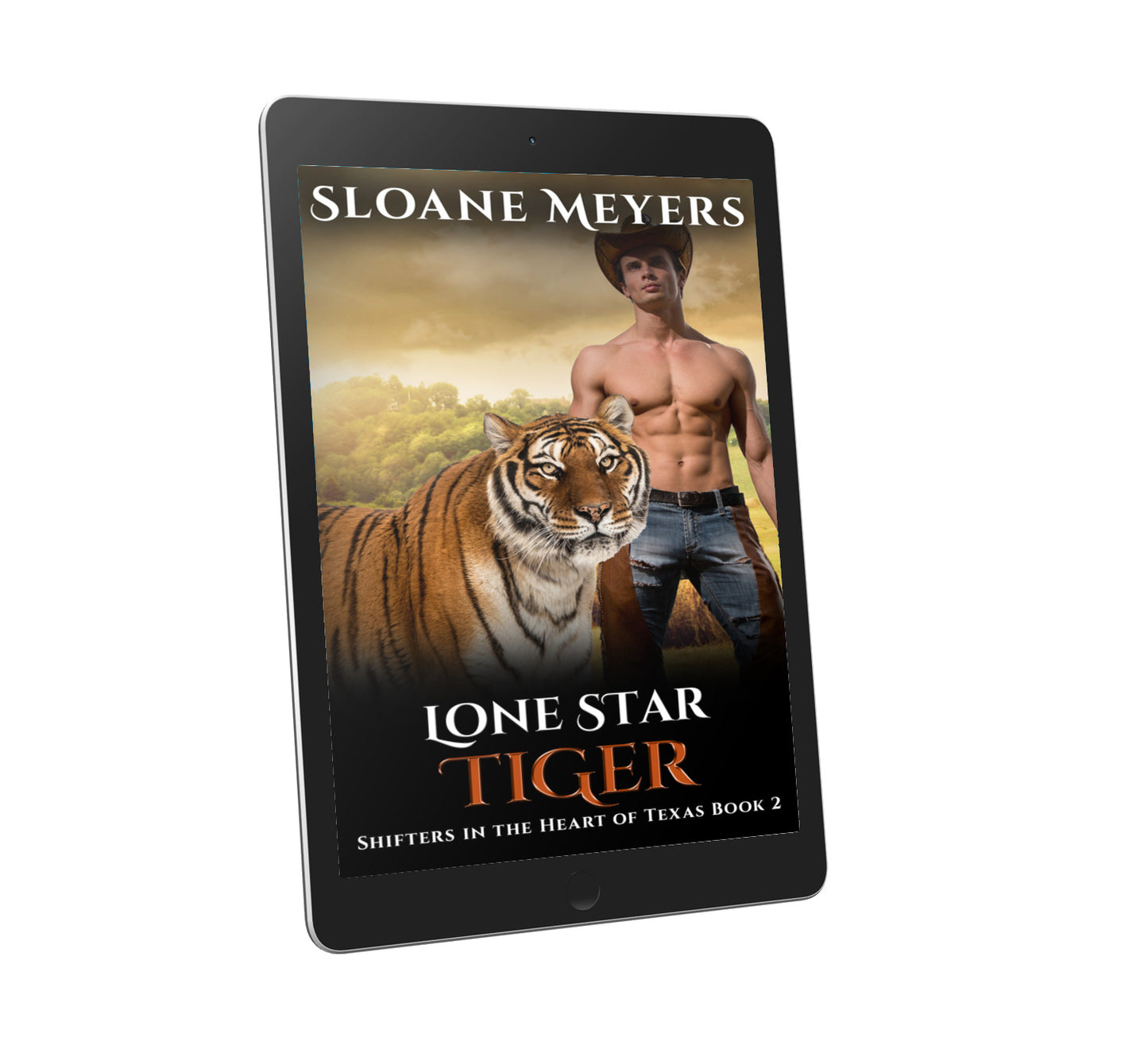shifter romance paranormal romance book