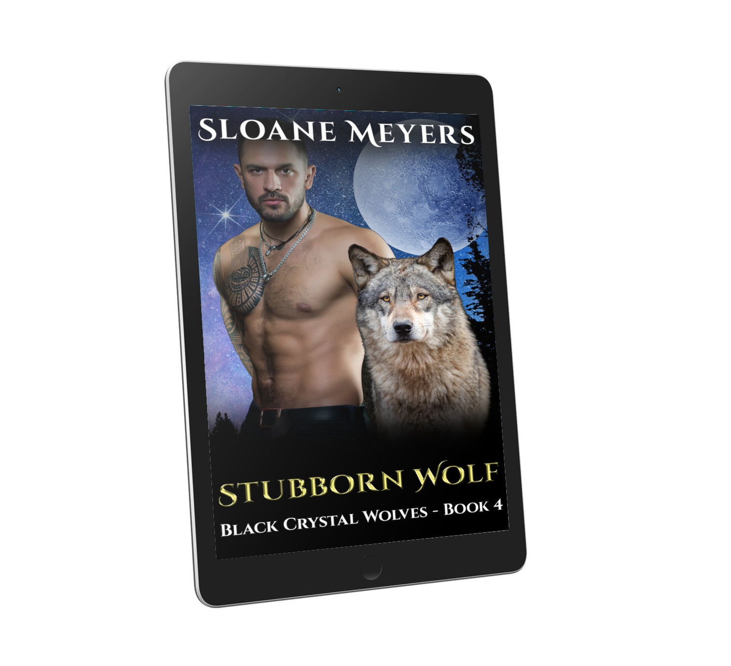 wolf shifter bear shifter romance dragon shifter romance paranormal romance book