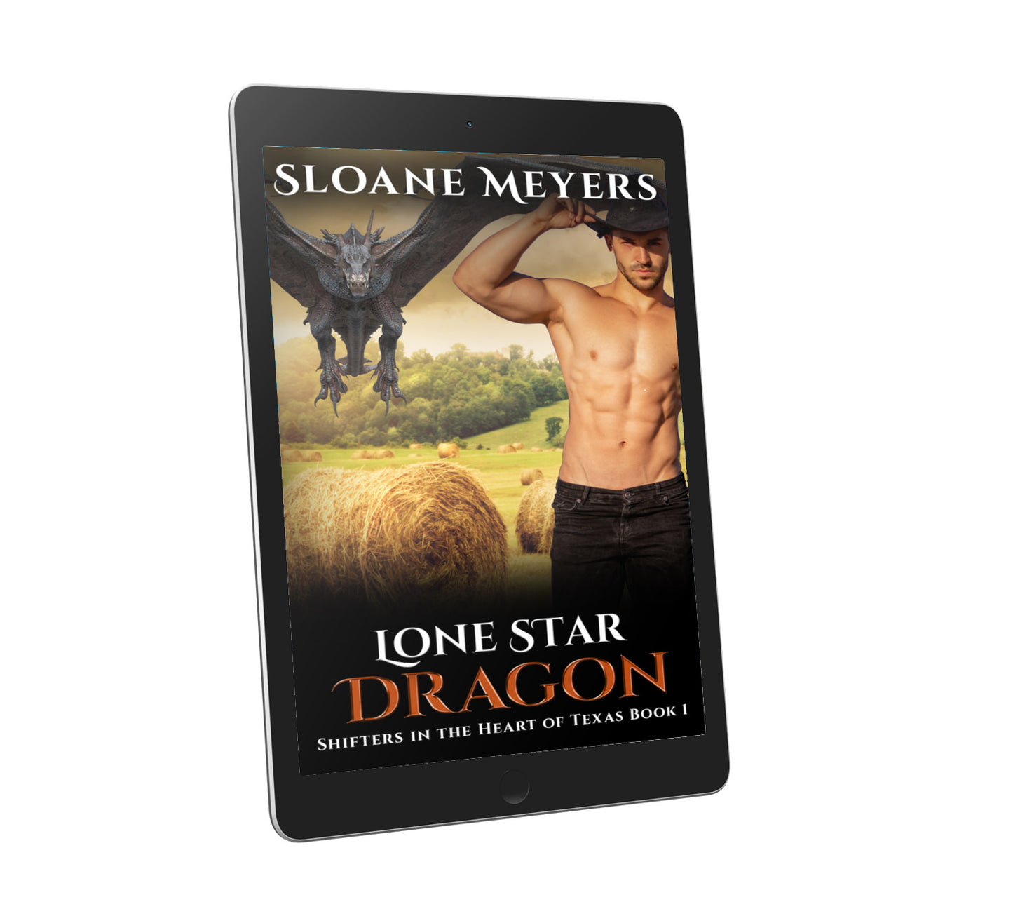 shifter romance paranormal romance book